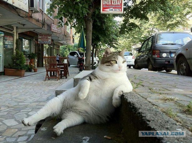 Крошка, иди ко мне