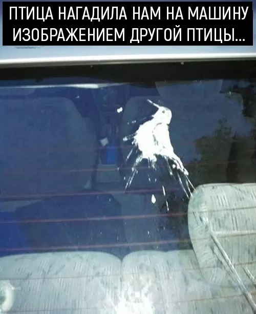 103 картинки для поднятия настроения!