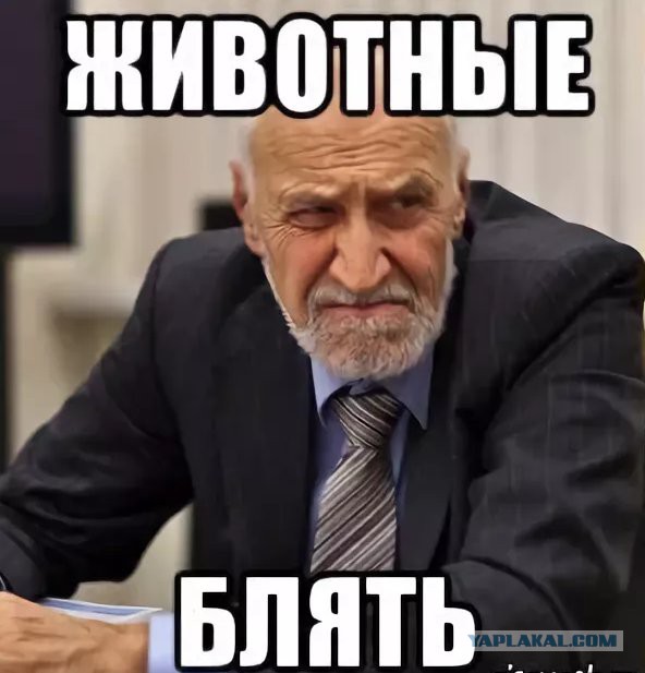 Вы же девочки?!  -Ху@вочки!