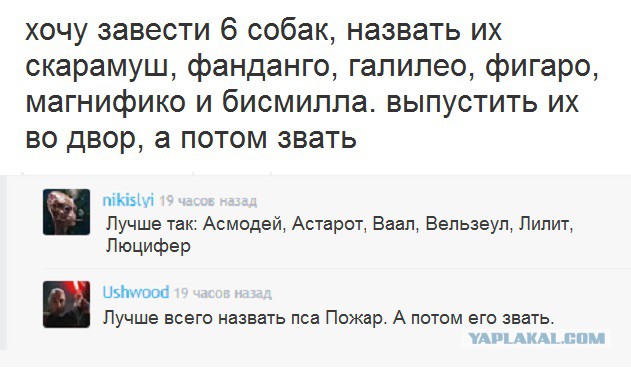 Смешные комментарии из социальных сетей 08.05.2019