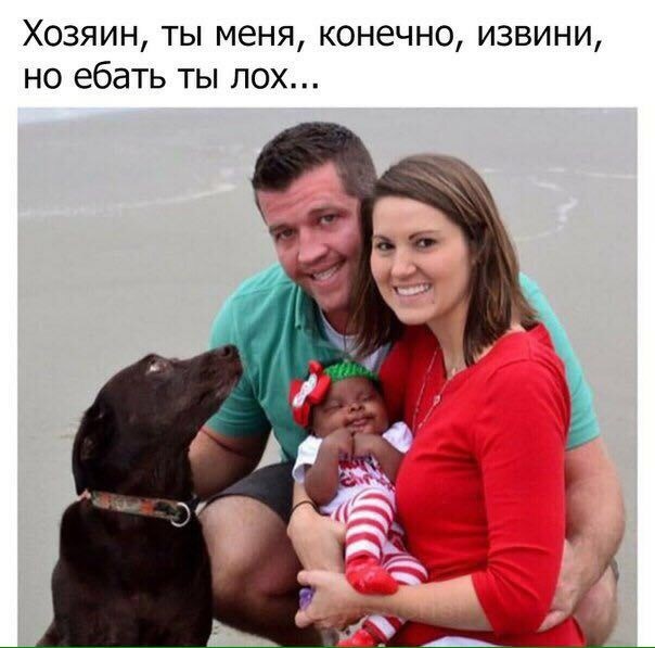 Комментарии, картинки всякие