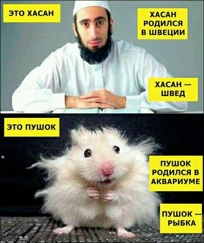 Когда защитники животных достали даже флегматичных и спокойных шведов