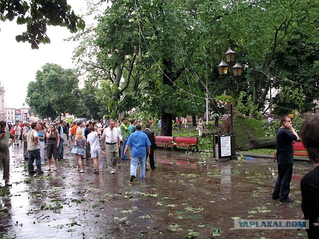Ураган во Львове.