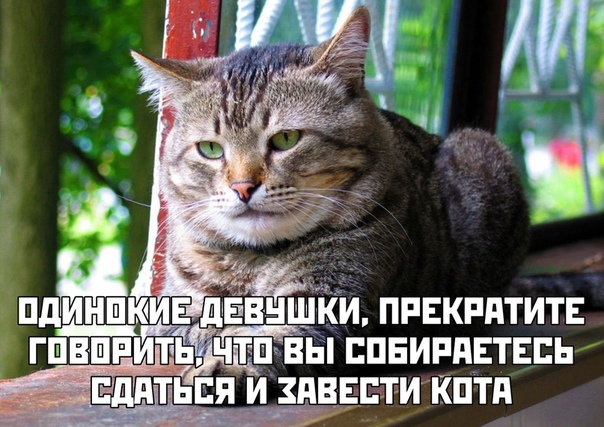 Смотреть!  Кому, ржать? Кому, плакать...