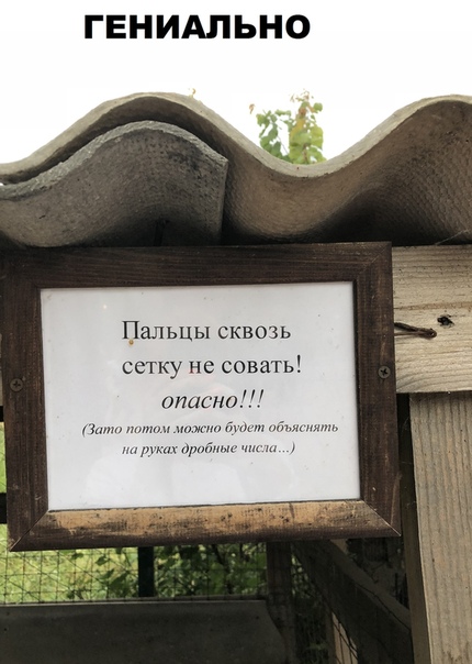 Чуток картинок. 08.01.2020