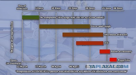 Пандемия. Коронавирус. Россия и мир. Последняя информация. Часть 12