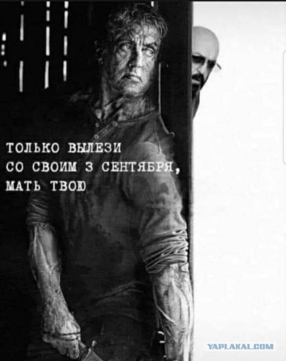 Бумер и Шуф