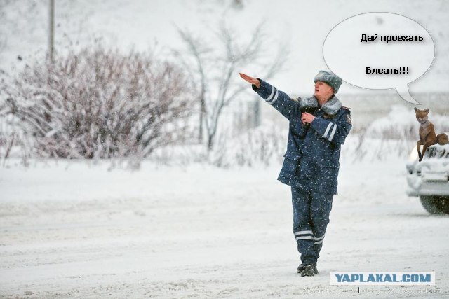 Фотожаба: полицейский в снегу