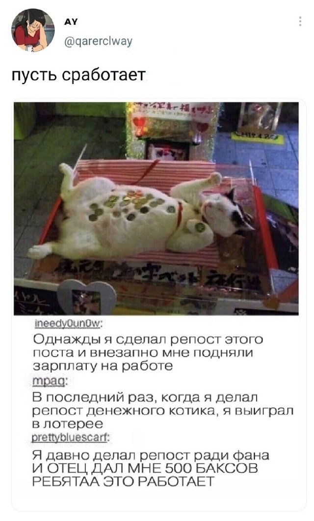 Прикольные и просто красивые картинки 25.08.2021