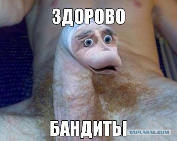 Девчата хоть куда!