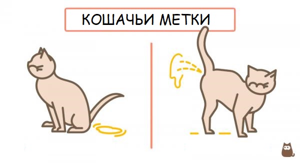 Сама набросилась
