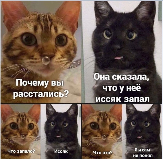 Картинки и мемы для настроения - 15