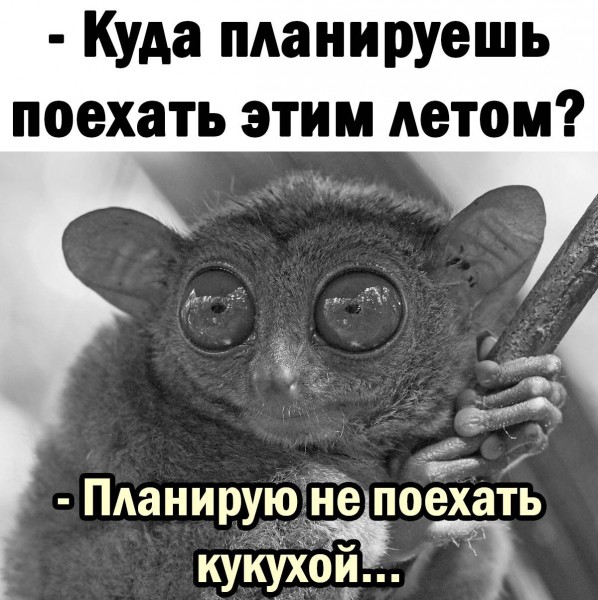 Фото-винегрет-4. Картинки ниапчём и обо всём