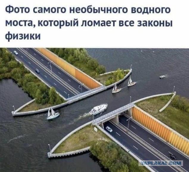 Так себе картинки 14.07.22
