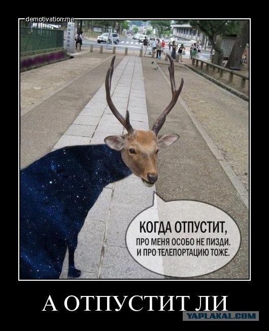Немного чёрно-пошлой деградации на среду