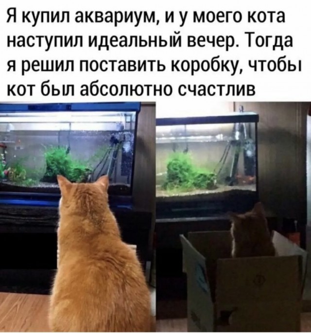 Картинки и мемы. Выходные близко...