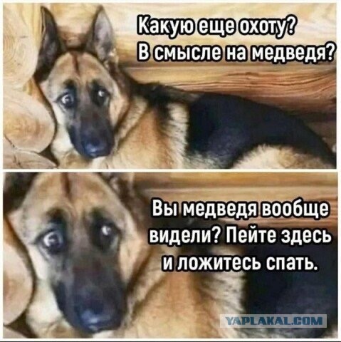 Пакистанская повторная промышленная зарядка патронов 7.62х39