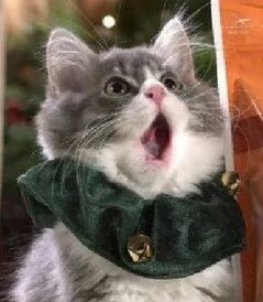 Не поверишь!
