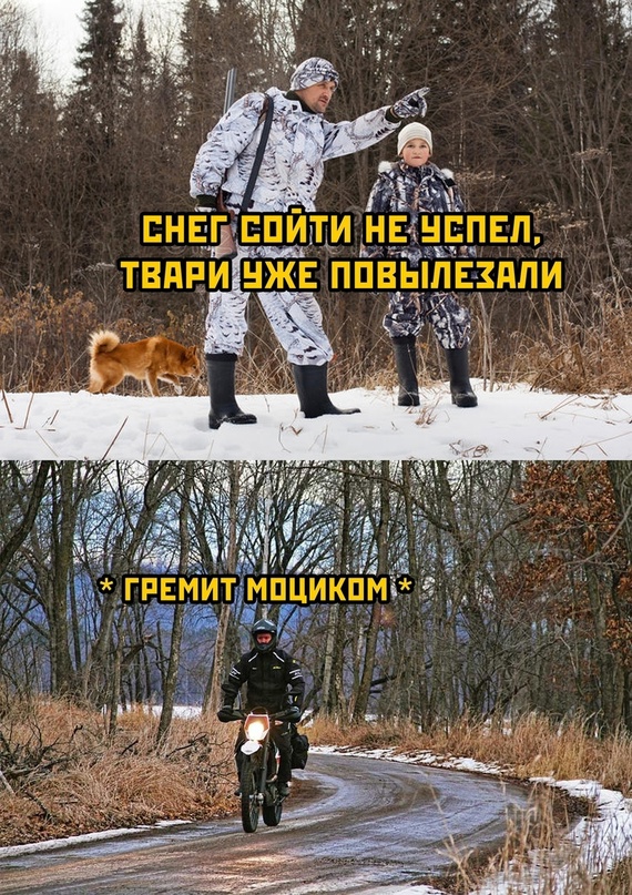 Немного картинок для настроения - 153