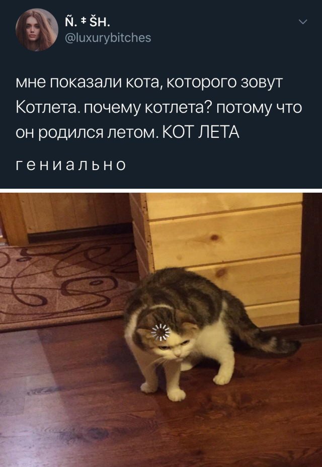 Нуштош 22.03.2023