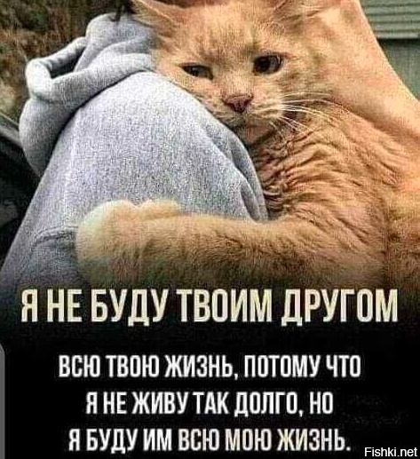 Нуштош 29.03.2023