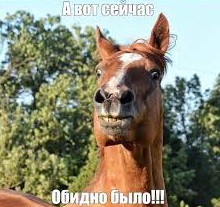 "В жопу тебя вы*бу"