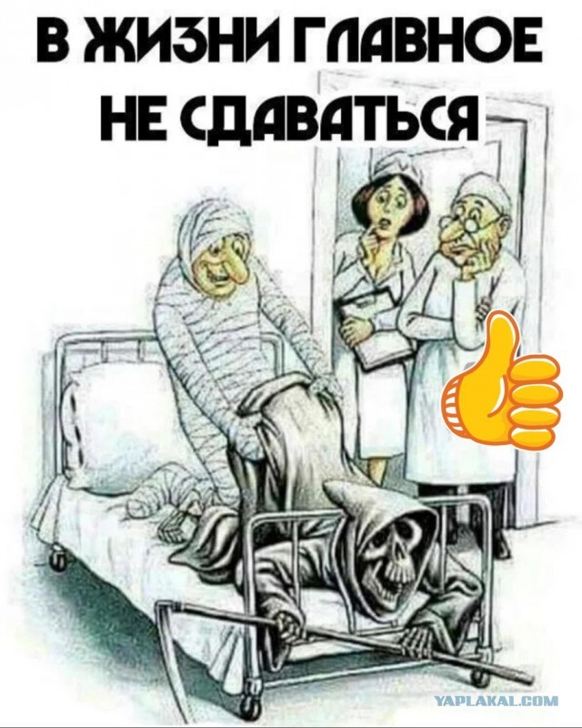 Инсульт у кошки