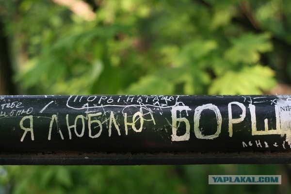 Борщ и сметана