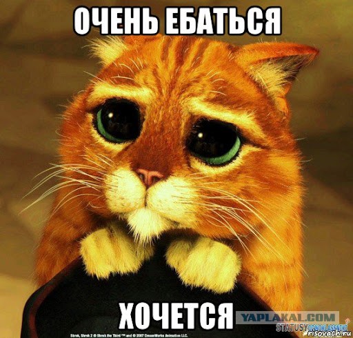 Энергичный свадебный танец