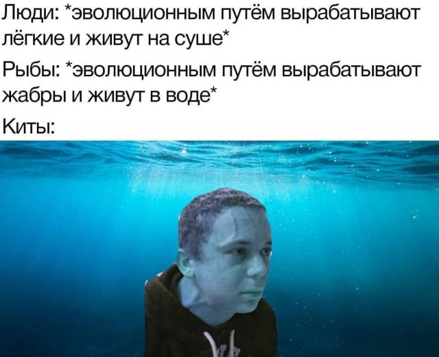 Так себе картинки 29.04.24