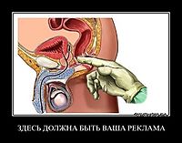 Веселые картинки к пятнице (26.07)