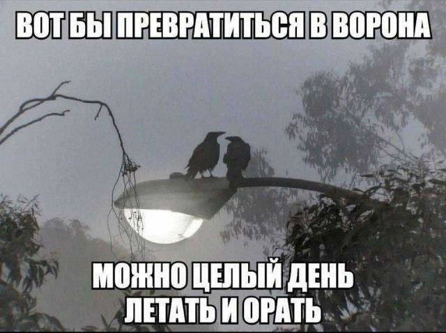 Завалялось тут случайно немного забавных картинок