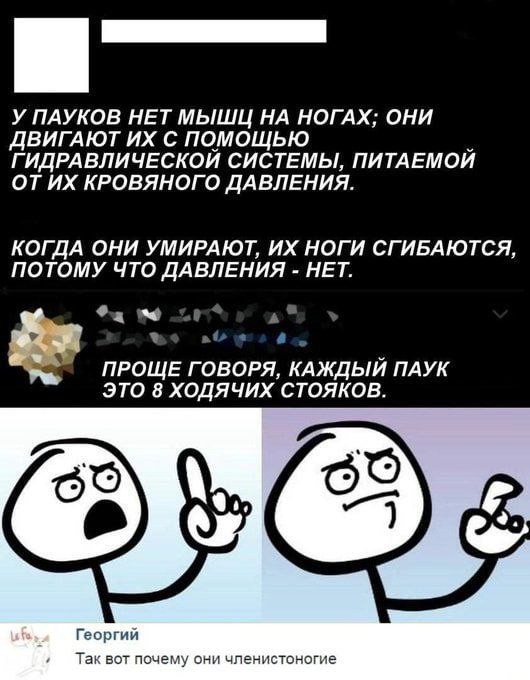Так себе картинки 04.12.24