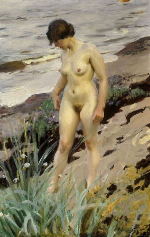 «На природе» Худ. Андерс Цорн. 1888 г.
