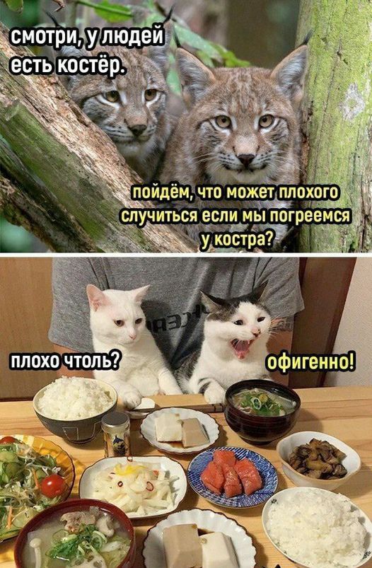 Завалялось тут случайно немного забавных картинок