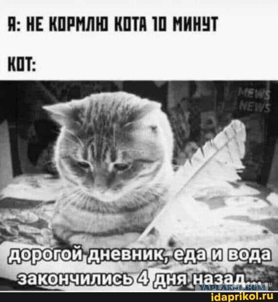 Российские туристы попали на «голодную» экскурсию в Турции