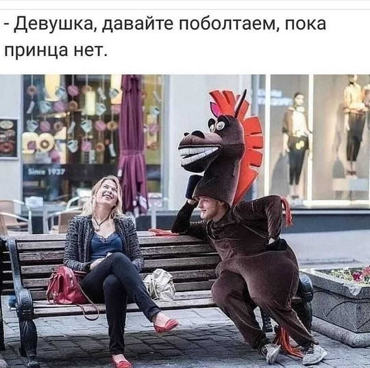 20477825.jpg