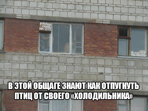 Картинки для деградации 90 (разной степени свежести)