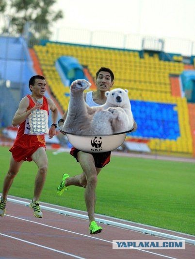 Моя первая фотжаба.