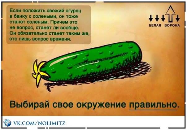 Картиночки, баянчики 17 февраля