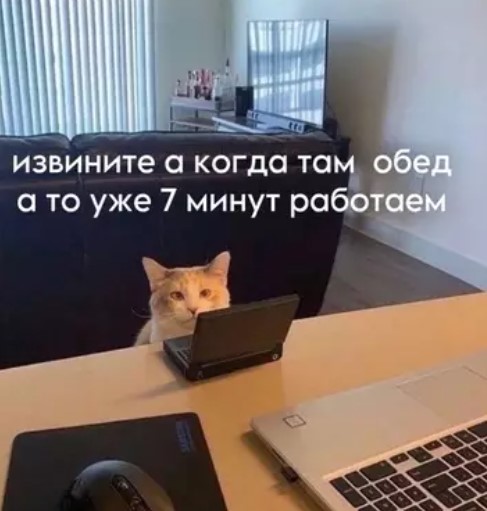 Котямбосы