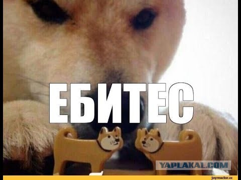 Для разнообразия познакомился с женщиной за сорок на сайте знакомств