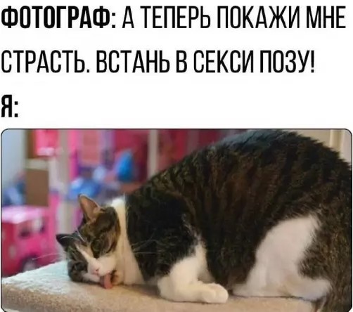 Картиночки, баянчики 03 апреля