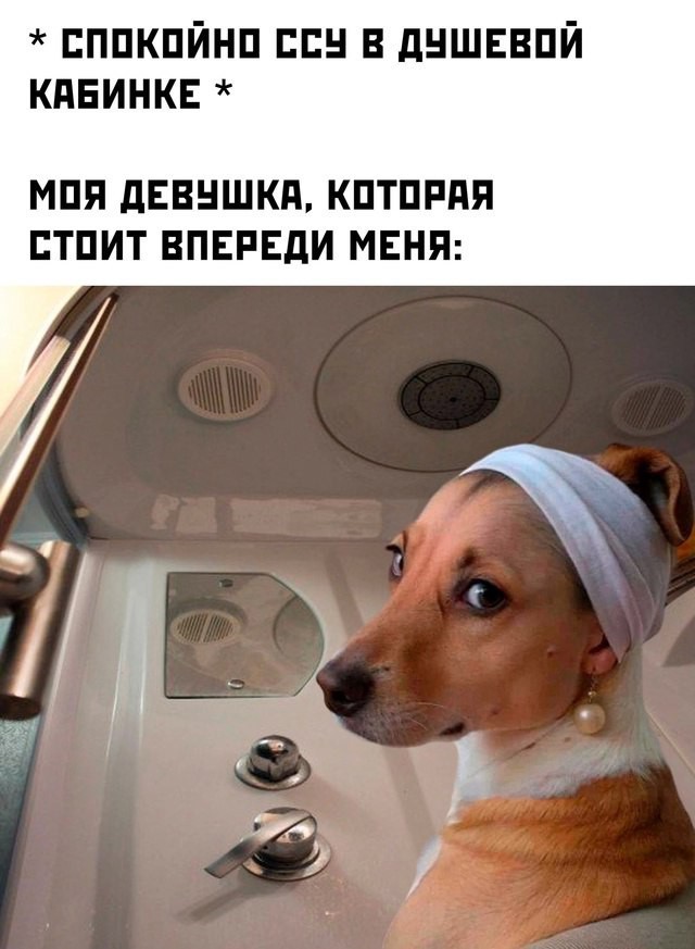 Веселые картинки в понедельник (18.05)