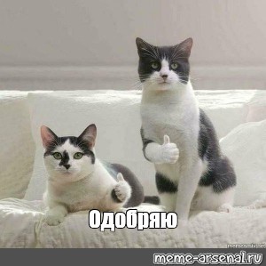 Хотели повторить тренд, но не вышло