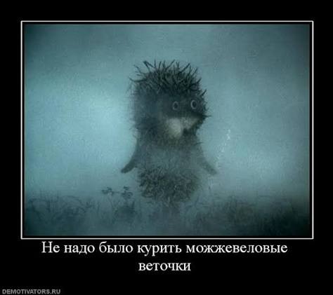 Тем временем Ксения Собчак решила покрасоваться своей физической формой в сторис