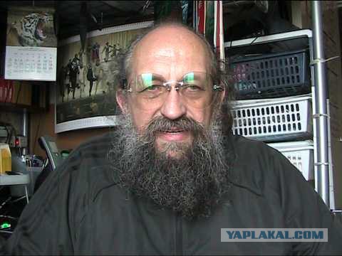 Коты ученых