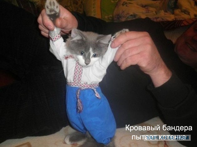 Стоять до конца..