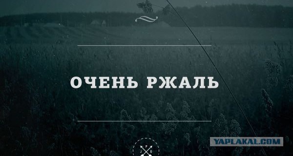 "Нерукопожатные" поляки: Мы не хотим украинских бе