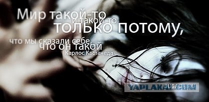 Цитаты великих